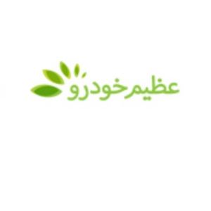 عظیم خودرو